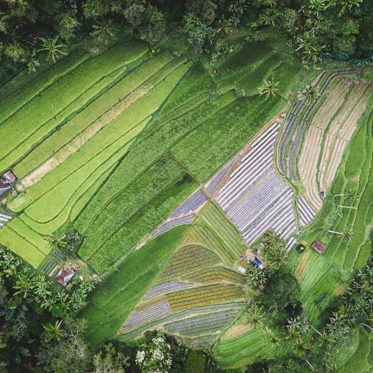 Entertainment zone at night in France